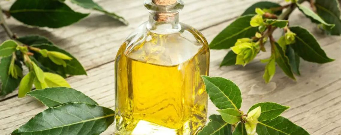 Mezcla de aceite esencial para difusor, humidificador, aromaterapia y  frotar con aceites de menta y eucalipto | para dolor de cabeza, alergias y